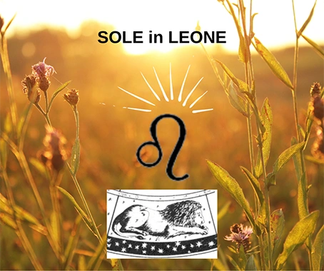 Sole in Leone