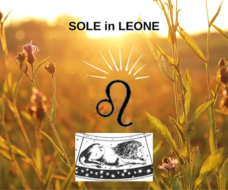 Sole in Leone Sole in Leone